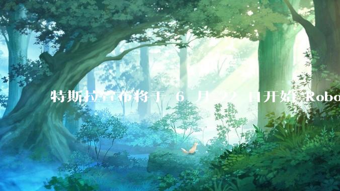 特斯拉宣布将于 6 月 22 日开始 Robotaxi 公开试运营，这将对自动驾驶行业带来哪些影响？