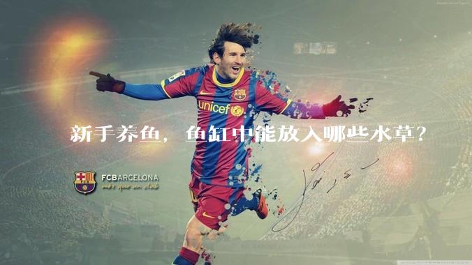 新手养鱼，鱼缸中能放入哪些水草？